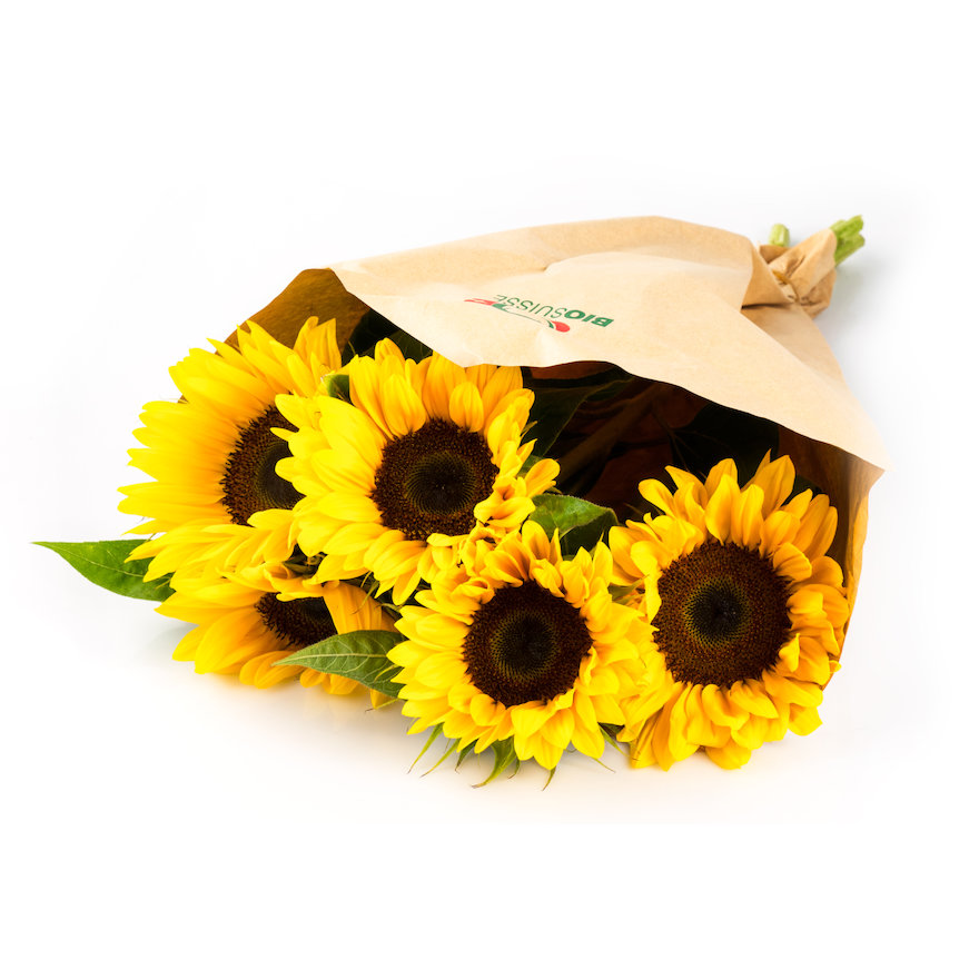 Bouquet tournesol